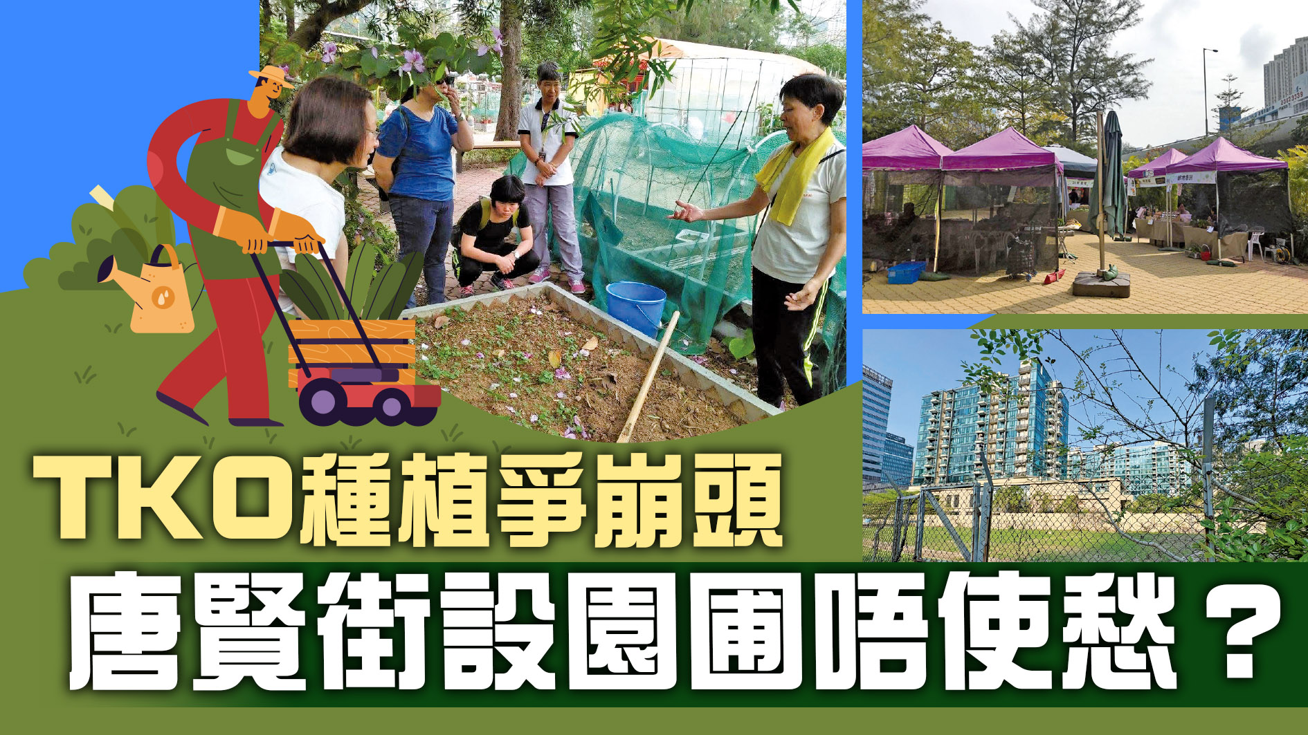 (西貢)TKO種植爭崩頭  唐賢街設園圃唔使愁...